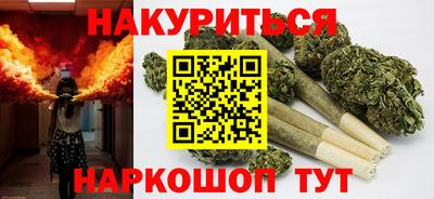 крисы Моздок