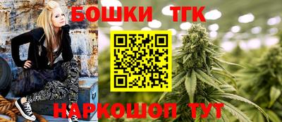 крисы Моздок