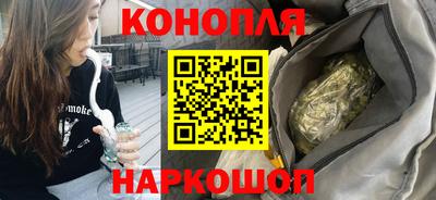 крисы Моздок
