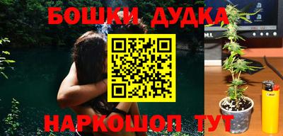 крисы Моздок