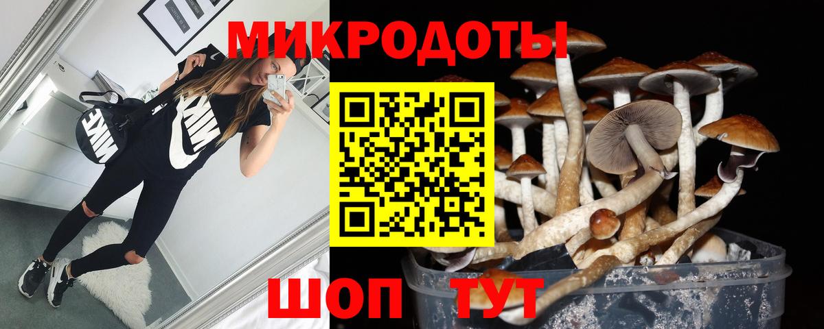 Городец  Галлюциногенные грибы мицелий  Псилоцибиновые грибы GOLDEN TEACHER  Вход с VPN 