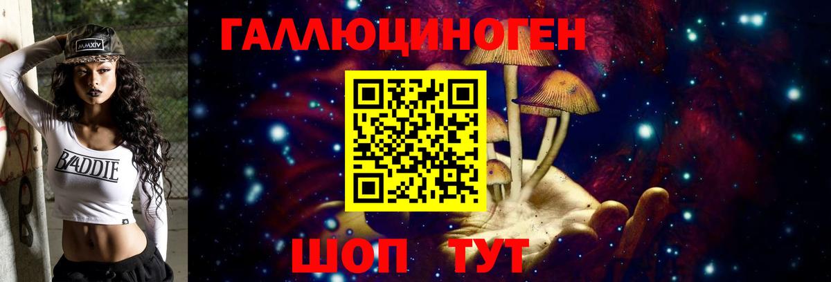 Галлюциногенные грибы Psilocybe Городец